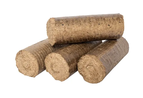 Quatre briquettes cylindriques, faces de coupe visibles — briquettes de bois dur chêne 10 kg