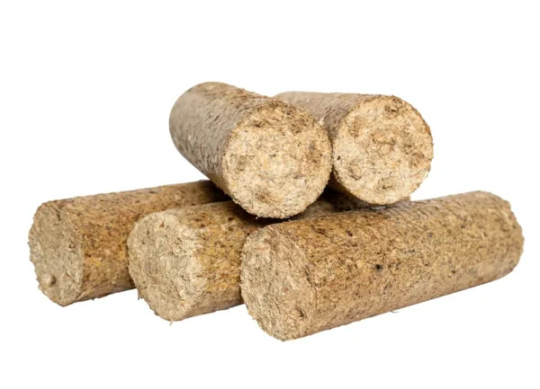 Quatre briquettes cylindriques claires, faces de coupe visibles — briquettes de bois résineux, pack de 10 kg