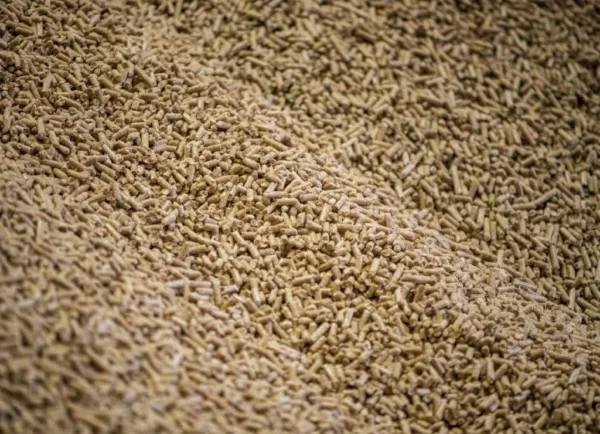 Granulés de bois en vrac, gros plan — granulés de bois en vrac, quantité au choix