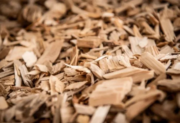 Plaquettes de bois claires, vue rapprochée — plaquettes de bois de jardin sans écorce, en vrac, quantité au choix